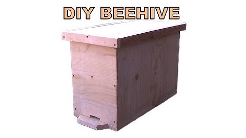 How to make 5 frame nucleus hive from SCRAP wood