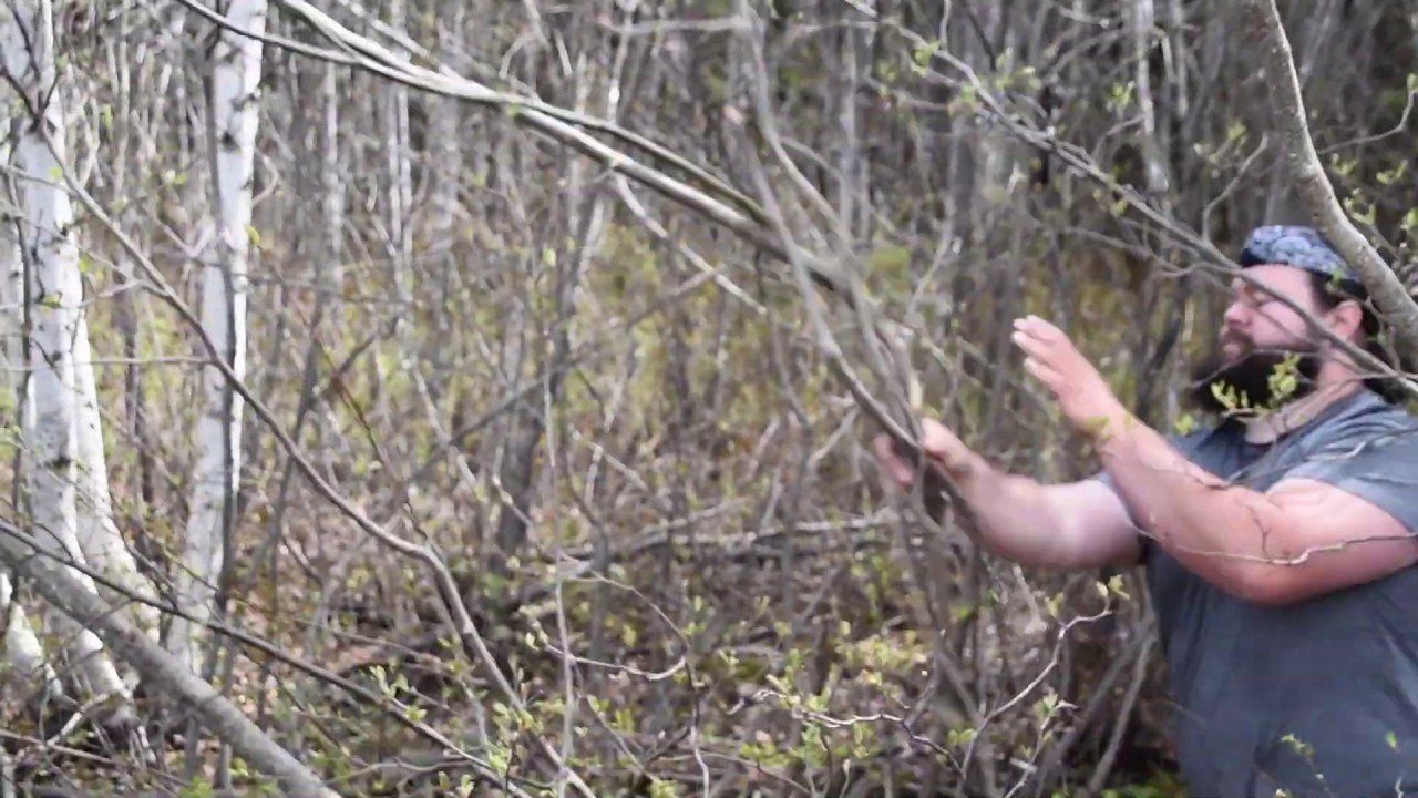 Cutting Trees To Build Our Own Driveway // Tiny Adventures Journey