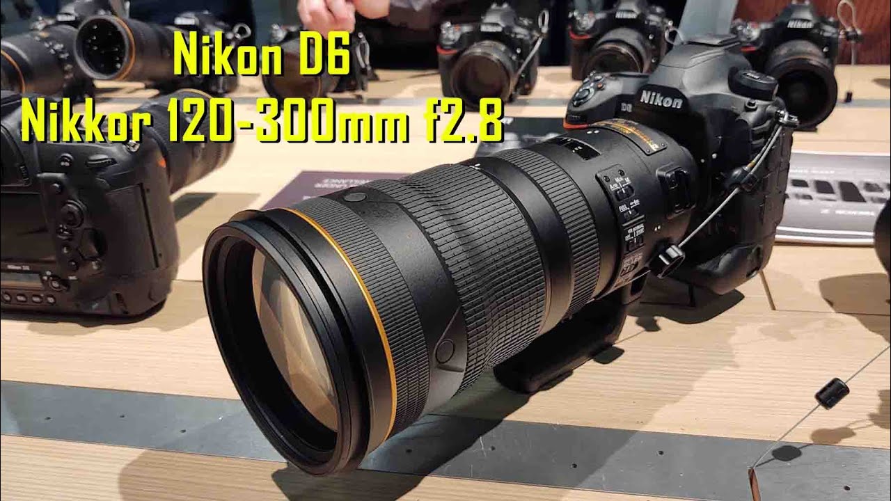 Nikon D6 & Nikkor 120-300mm f2.8 FL ED SR VR - Primeras impresiones