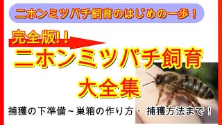 【趣味のニホンミツバチ養蜂】これからはじめるニホンミツバチ飼育の捕獲準備から巣箱の作り方と捕獲方法まで、一挙公開