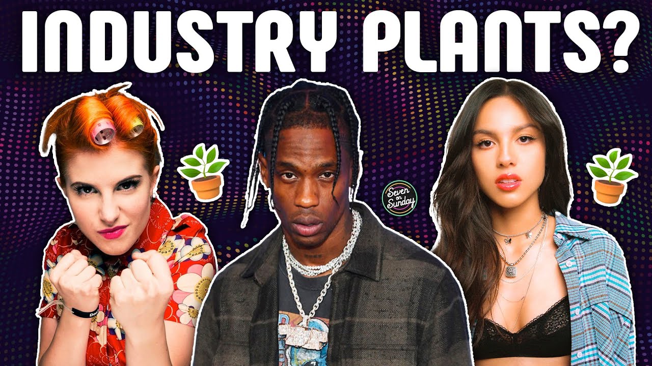 MUSIC INDUSTRY PLANTS YouTube