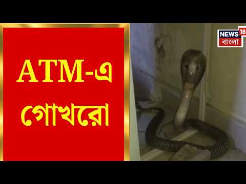 Jalpaiguri News | ATM-এ গোখরো, টাকা তুলতে গিয়ে সাপের আতঙ্কে চাঞ্চল্য | Bangla News