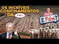 Conheça as Fazendas de Gado da JBS - Confinamentos Gigantes! (Friboi, Seara)