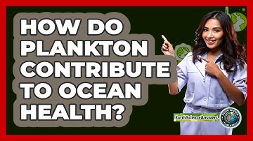 How Do Plankton Contribute To Ocean Health? - Earth Science Answers