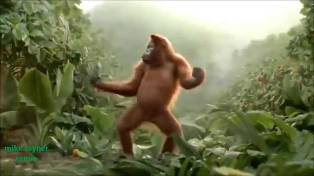 Funny Ape Song Cartoon Parody Dance Music Pop Songs Dancing Gorilla Cartoons movies