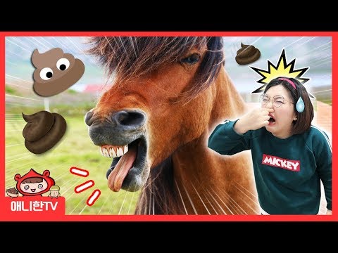말똥이다 ♥ 말돌보기 승마 <strong>가족</strong> <strong>체험</strong> <strong>여행</strong> 상황극 Pretend Play [애니한TV]