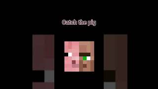 Catch the Pig