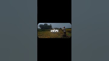 وينجى ٱلله ٱلذين ٱتقوا بمفازتهم 🤍 | سورة ألزمر [٦١-٦٢] #قرآن #قران_كريم #عبدالبديع_غيلان