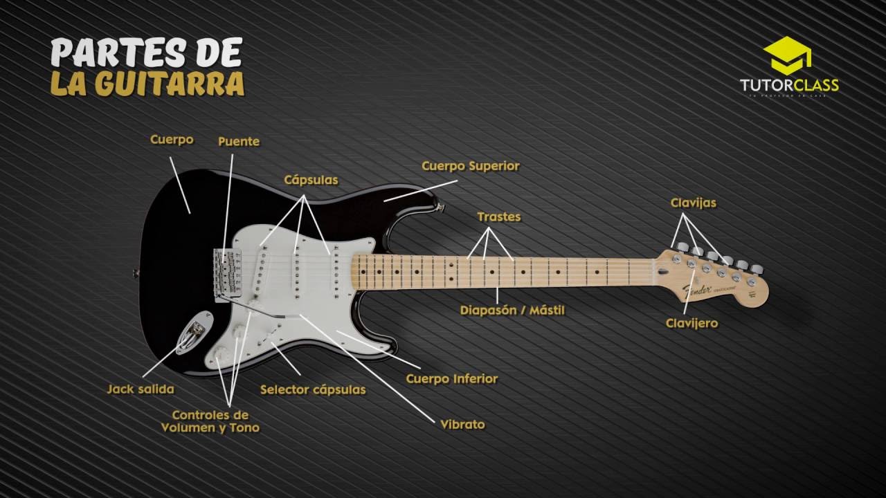 LAS PARTES DE LA GUITARRA ELÉCTRICA - YouTube