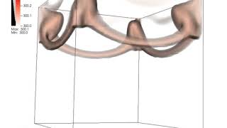 Thermal Bubble (3-D) SELF-Fluids
