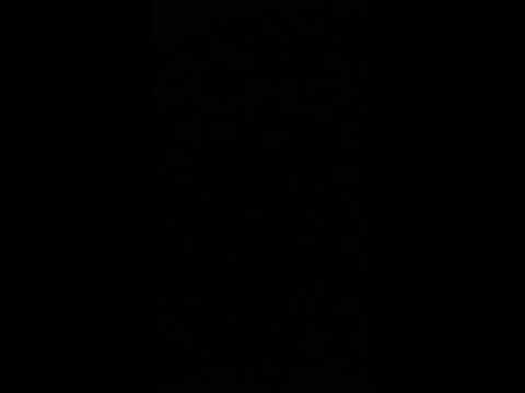 حمام بلا جناح غاع مغطير Music مسيقى Mr Ahmad Funny Fyp