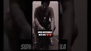 Sidhu Moosewala With Shera