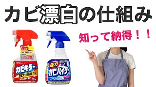 カビキラー/カビハイターでなぜカビを漂白できるのか解説！