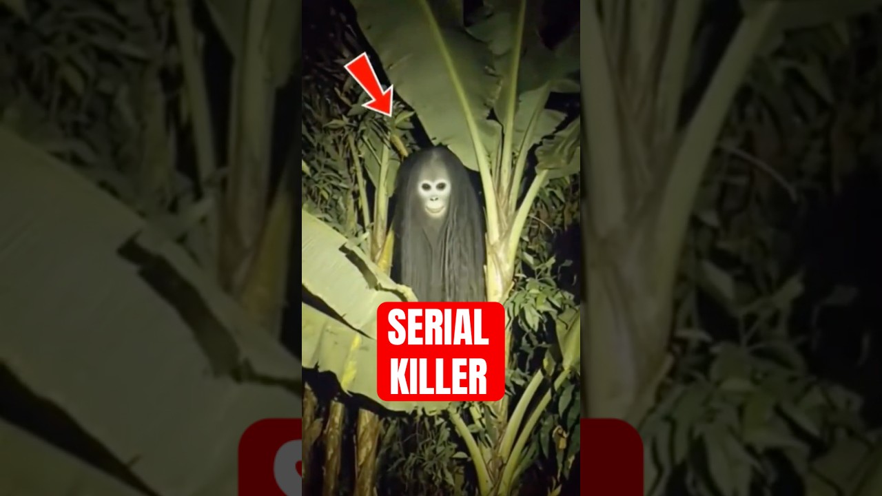 4 Tactical Attack Moments In Nature That Seem Unreal