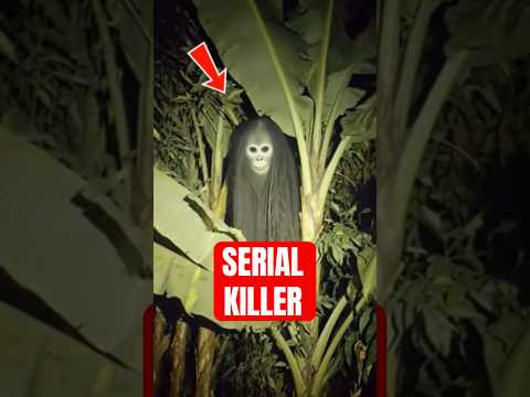 4 Tactical Attack Moments In Nature That Seem Unreal