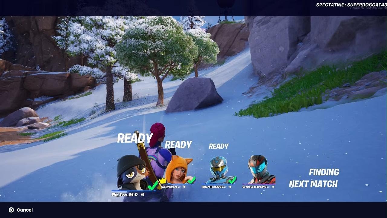 Fortnite: battle (Team)