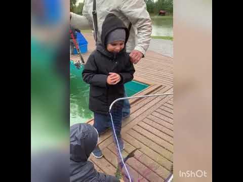 Детская рыбалка на Платнике. Золотой Сазан. - YouTube