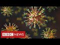 New mutated coronavirus from South Africa is "highly concerning" - BBC News