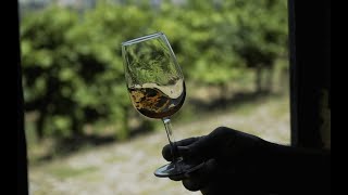 Quinta do Mourão - Port Wine Tasting