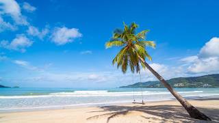 Tropical Paradise Bossa Nova Music | Stress Relief and Deep Relaxation