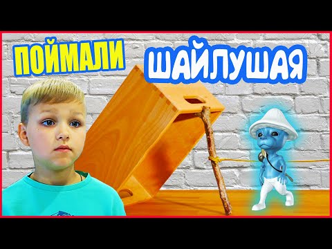 Видео: ПОЙМАЛИ ШАЙЛУШАЯ! ШАЙЛУШАЙ У МЕНЯ ДОМА 2