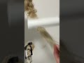 パールリボン🎀ふわもこポニー🤍