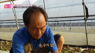 경제권을 엄마에게 안 주는 이유! [엄마의 봄날] 106회 20170917