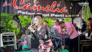 Download lagu CAMELIA MUSIC - PERTEMUAN 2 - EVA AQUILA - PARTY SEDULUR ERWE LIMO - PENDEM KEMBANG JEPARA