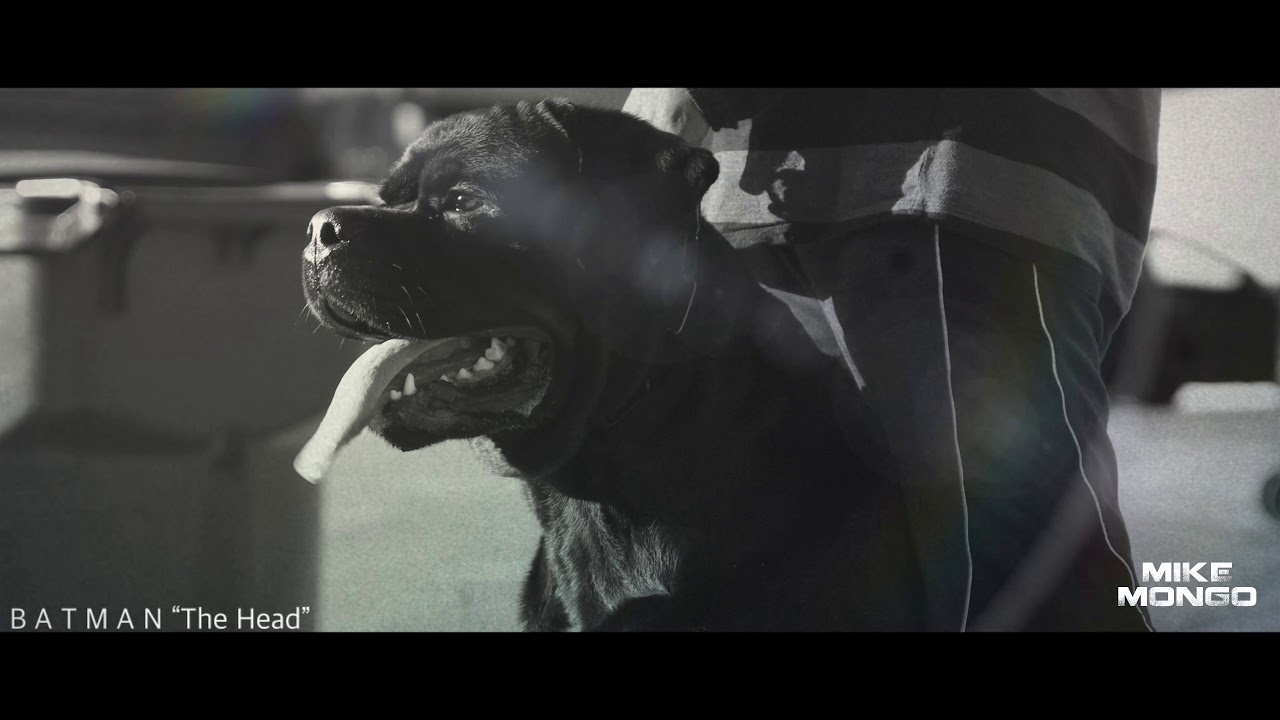 His Head is Ridiculous!!! Akbarforce Mack (Batman)