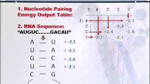 Topic 91 (BIF401 - Bioinformatics I)