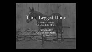 Three Legged Horse
