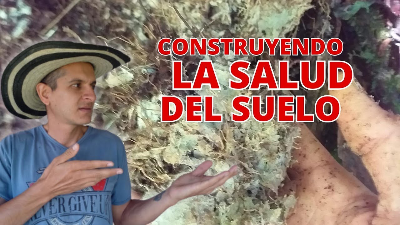 🌱 MICROORGANISMOS en la agricultura orgánica ¡Revolucionando la producción de alimentos SALUDABLES!🌱