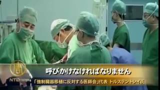 臓器のための殺人| 臓器狩り | 臓器移植