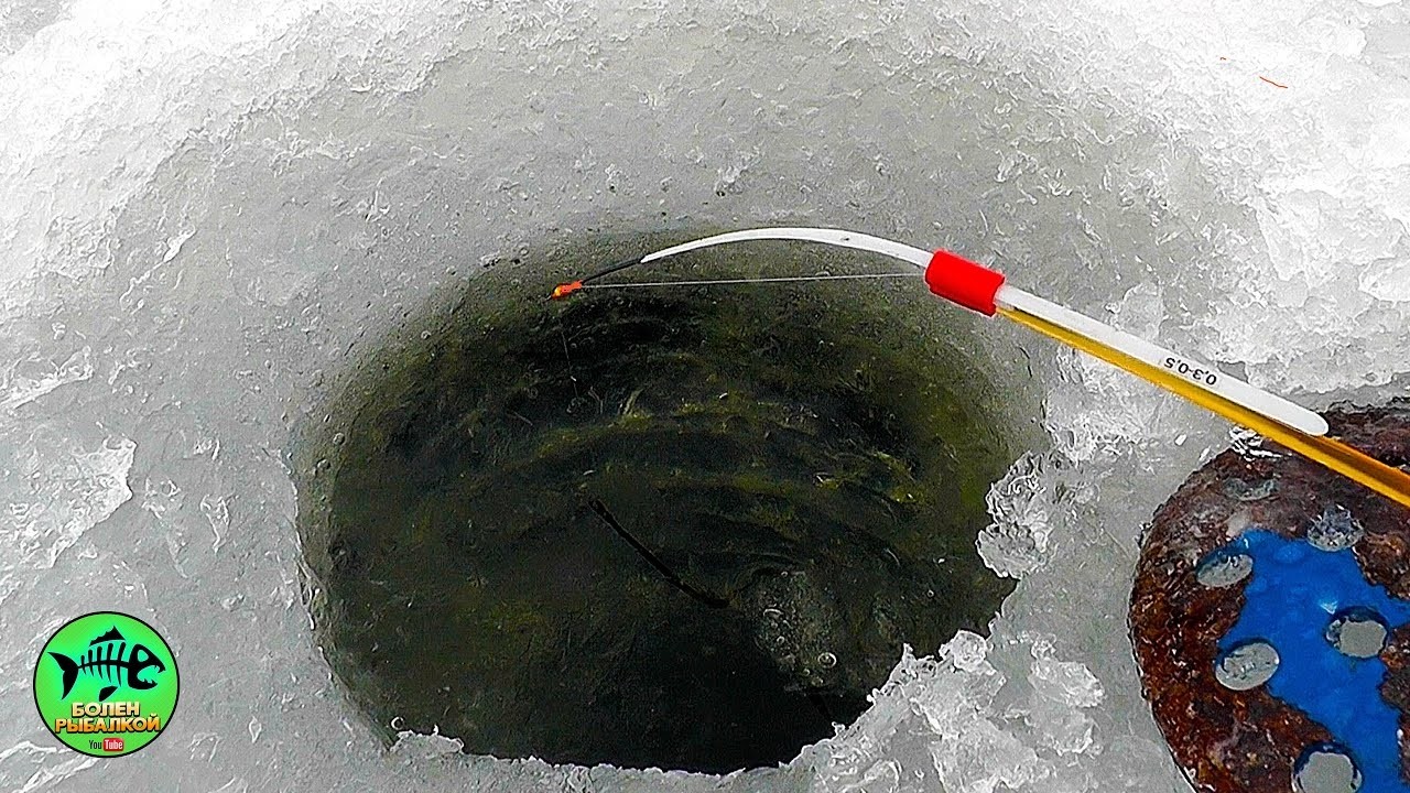 ВОЛОСЫ ВСТАЮТ ДЫБОМ КОГДА ТАКОЕ ВИДИШЬ. 🐟🐟🐟. . Ловля леща. Зимняя рыбалка 2026.