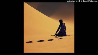 Tinariwen - Jayche Atarak (Alien Waves remix)