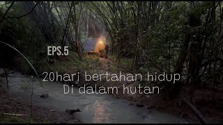 Download Lagu 20hari bertahan hidup di hutan EP5 hujan deras tidak menjadi halangan untuk beraktifitas MP3