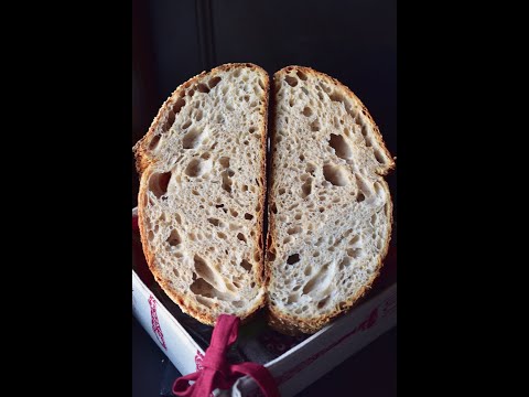 Paine Cu Maia Partea 1 Youtube