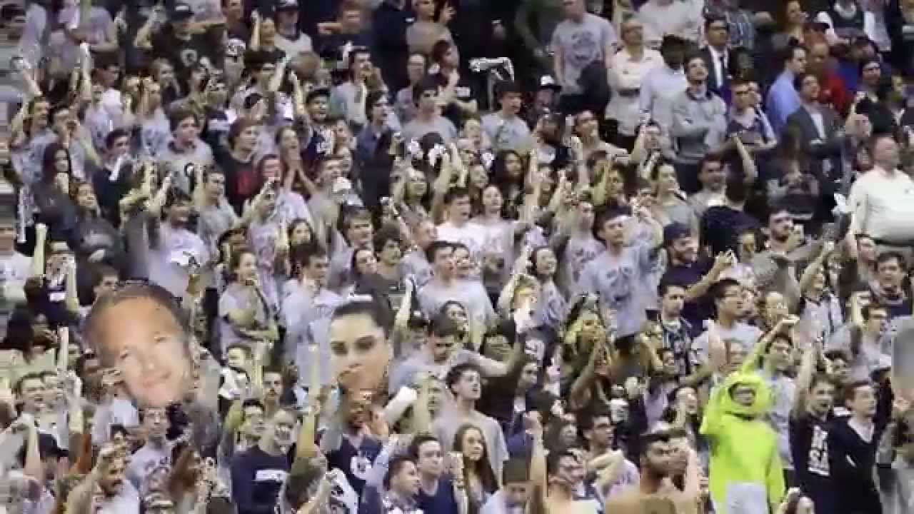 Hoya Saxa