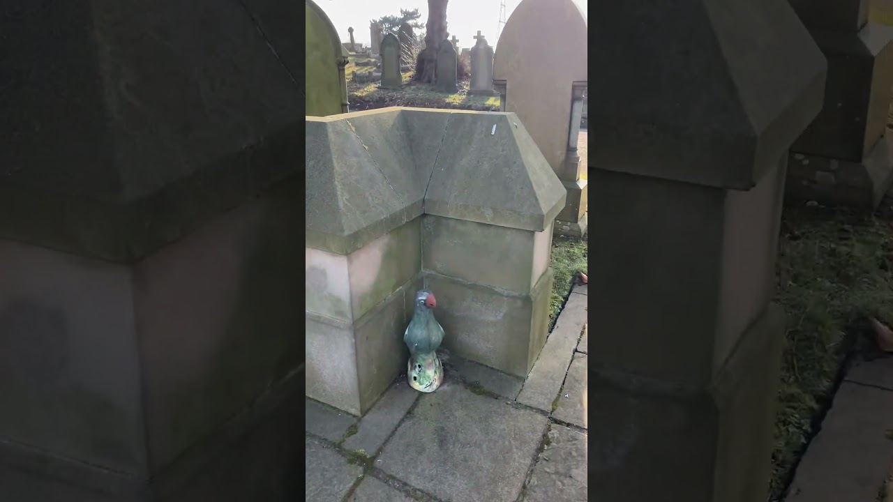 Witton Cemetery 🪦 war graves