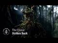 The Ent's of Fangorn Forest | LOTR Ambience