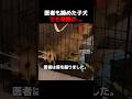 医者も諦めた子犬でも奇跡が… #保護犬,#感動動画,#泣ける動画,#捨て犬,#犬のリハビリ,#奇跡の回復,#動物保護,#感動する話,#障害犬,#泣ける話,#動物福祉,#犬の奇跡,#感動ショート