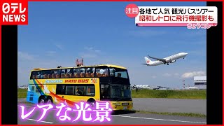 【観光バスツアー】空港“立ち入り禁止エリア”ツアー＆昭和レトロも  各地で人気！