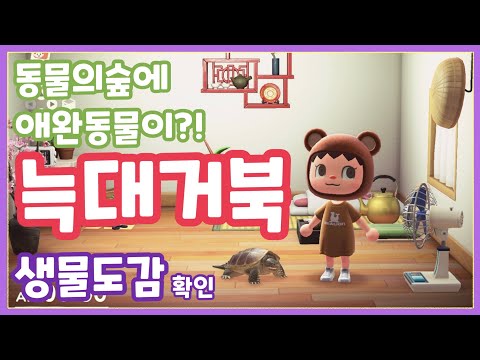 모동숲에서 반려동물 키우기 mp3 모동숲에서 반려동물 키우기 Mp3