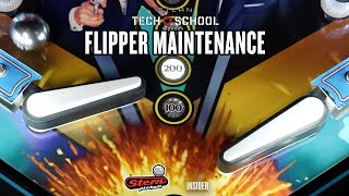 Stern Tech School: Flipper Maintenance Net Worth