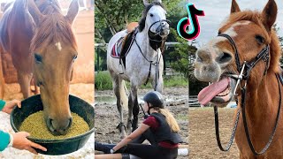 1 HOUR Of Reletable HORSE TikTok Compilation #156