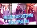 Медленная Эстония и быстрые мы