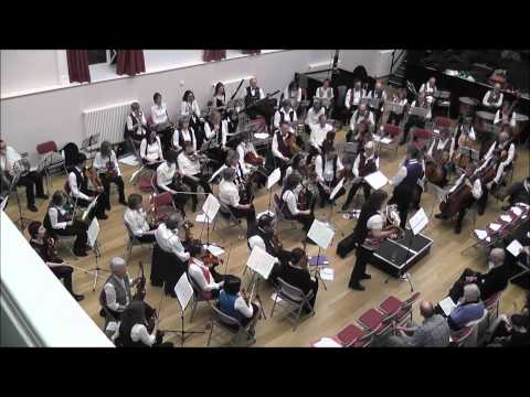 Cobweb Orchestra Pyburn Horn Concerto movt 3.wmv