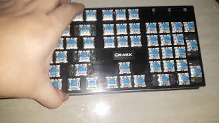 Rakk Kimat XT Mechanical Keyboard (disassembled) screenshot 4