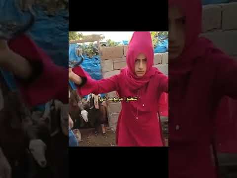 خدعتنا مريومه طلعت ذكر