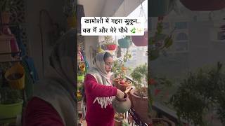 Gardening करके मैंने अपने आप को ढूंढा 🌿 | Balcony Garden #planttherapy #sukoon #balconygarden